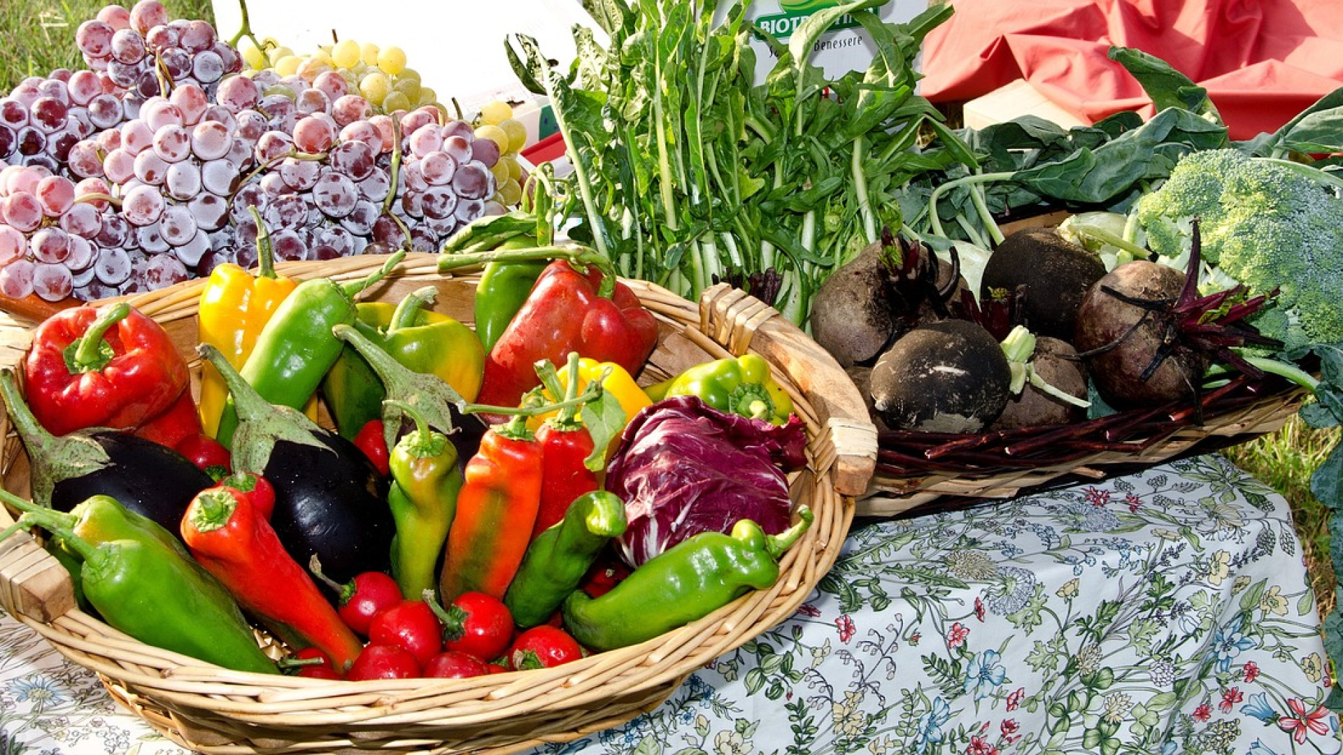 La permaculture dans le potager : commencez dès aujourd'hui !