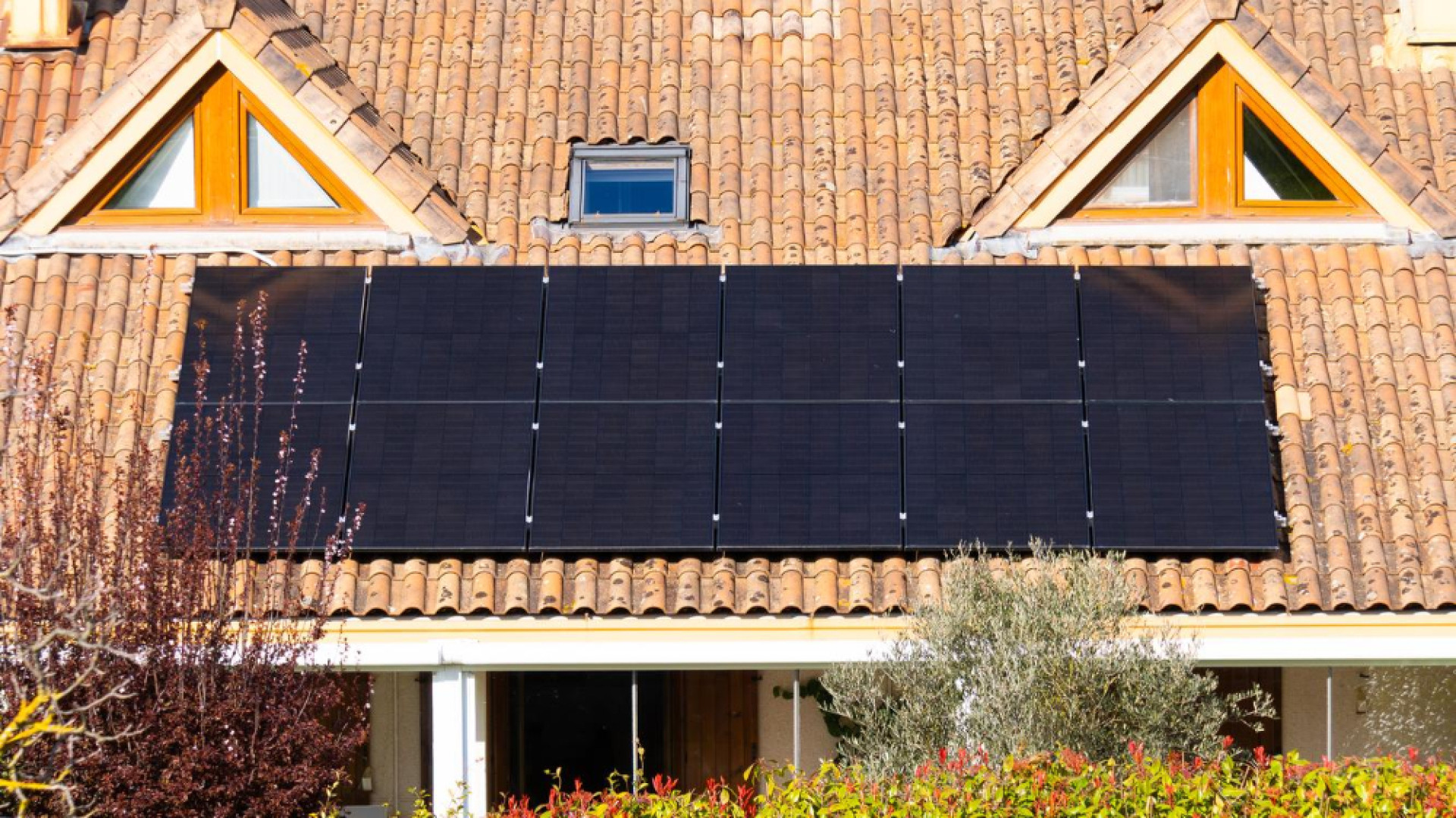 Énergie verte : pourquoi investir dans des panneaux solaires ?