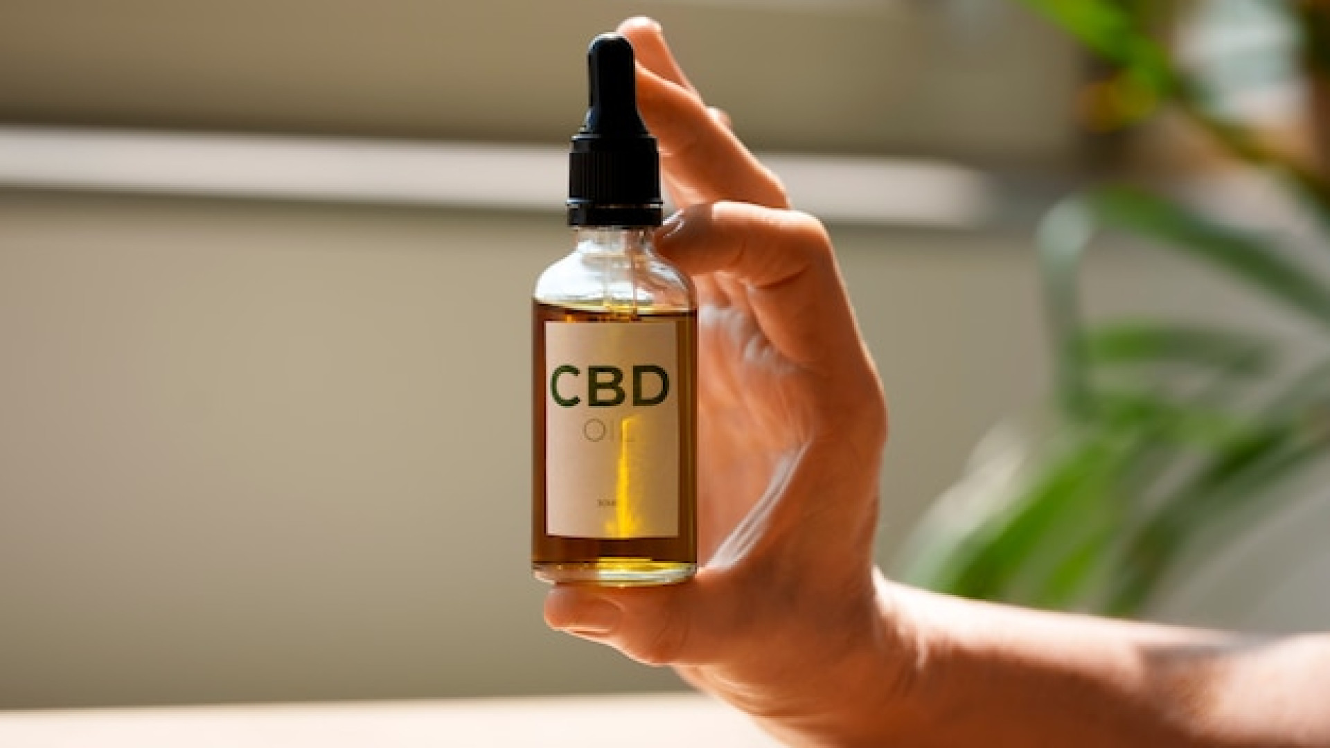 CBD et équilibre de vie : ce qu’il faut savoir